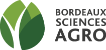 Moodle BSA